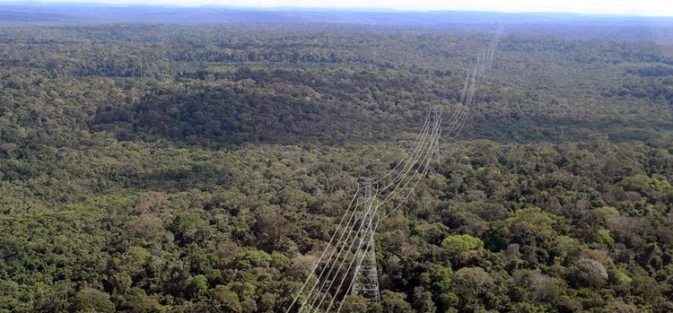Ibama concede licença de operação para Linha de Transmissão Manaus–Boa Vista 22 Linha de Transmissão Manaus–Boa Vista