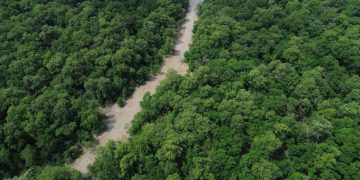 floresta amazônia