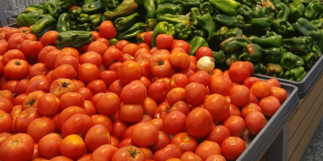 tomate