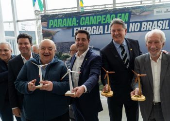 Complexo Eólico Palmas II