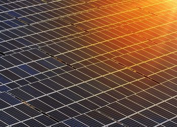 Nordeste no topo: Região lidera expansão de energia no Brasil em março 33 energia solar