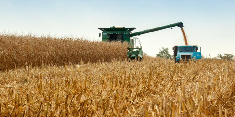 Agronegócio exporta US$16 bi em maio, com a China como maior compradora 22 agronegócio