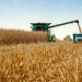 Agronegócio exporta US$16 bi em maio, com a China como maior compradora 28 agronegócio