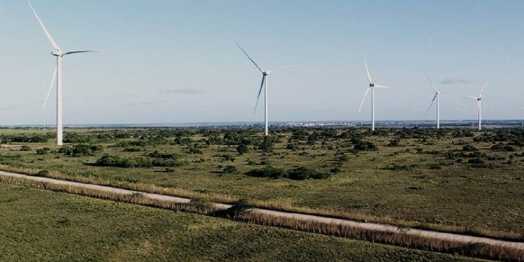 Vestas e Ibitu renovam parceria até 2040 para operação de parques eólicos no Nordeste 22 complexo riachão