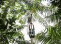 Petrobras e BNDES anunciam vencedores do primeiro leilão do ProFloresta+ 28 floresta