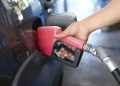 gasolina